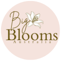 BIg Blooms Australia logo 120px