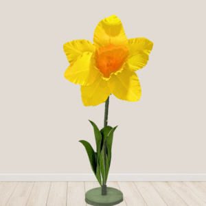 Big Daffodil Flower