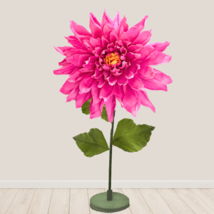Big Dahlia Flower