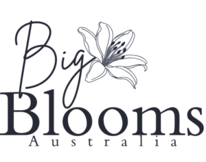 Big Bloom Australia logo