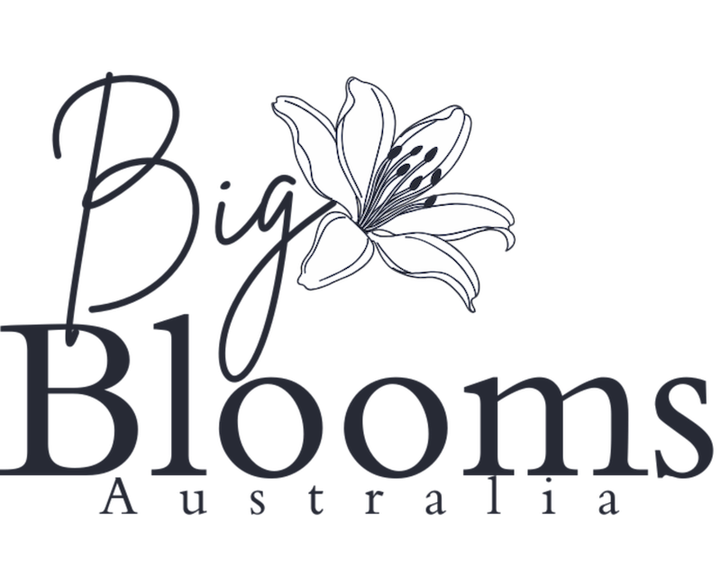 Big Bloom Australia logo